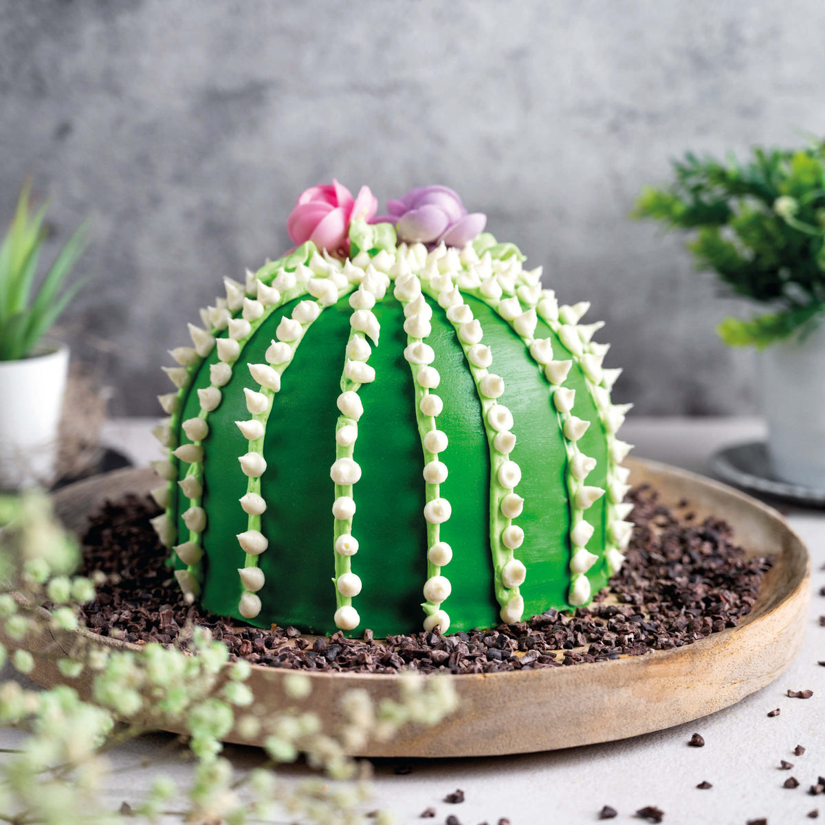 Kaktustorte mit Fondant Grün (250g)